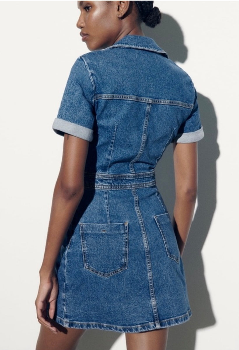 Zara Denim Dress