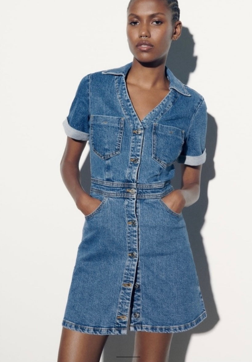 Zara Denim Dress